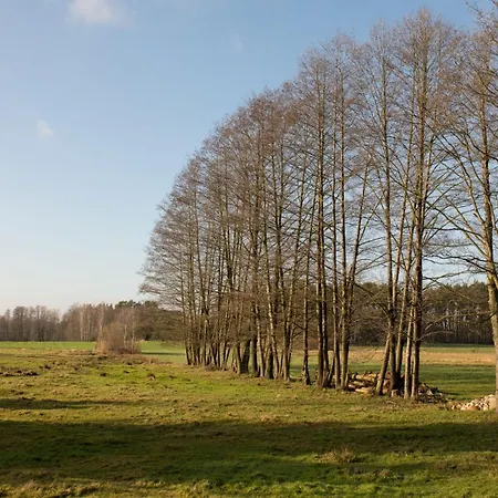 Sankakkei 1 - Lewy Brzeg Narwi *