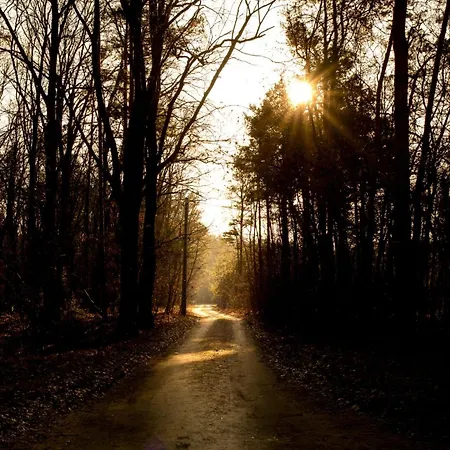 Sankakkei 1 - Lewy Brzeg Narwi Villa Burlaki