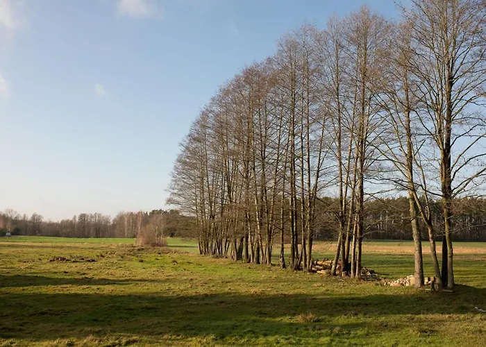 Sankakkei 1 - Lewy Brzeg Narwi *