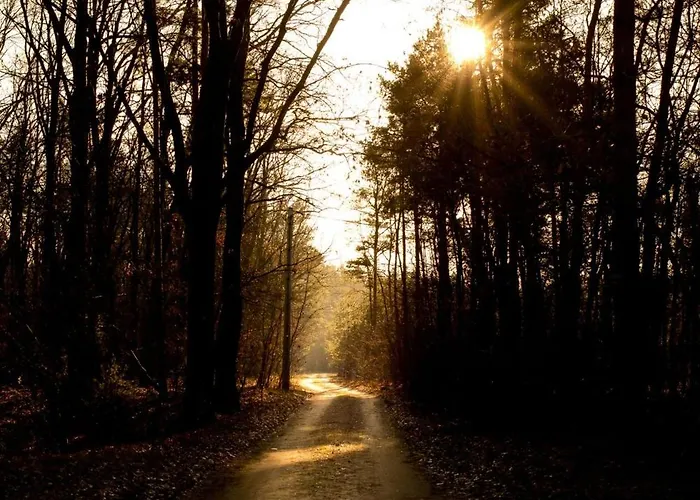 Sankakkei 1 - Lewy Brzeg Narwi Villa Burlaki